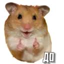 স্টিকার