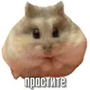 স্টিকার