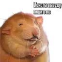 স্টিকার