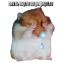 স্টিকার