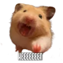 স্টিকার