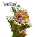 স্টিকার