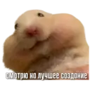 স্টিকার