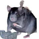 স্টিকার