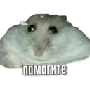 স্টিকার