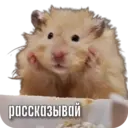 স্টিকার