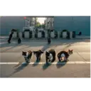 స్టికర్