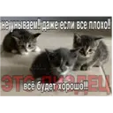 స్టికర్