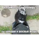 స్టికర్