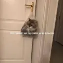 స్టికర్