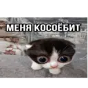 స్టికర్