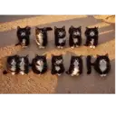 స్టికర్