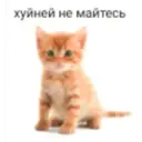 స్టికర్