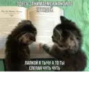 Կպչուն պիտակ