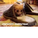 Կպչուն պիտակ