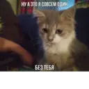 Կպչուն պիտակ