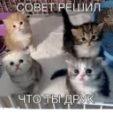 Կպչուն պիտակ