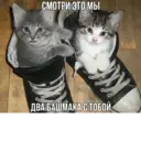 Կպչուն պիտակ