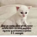 Կպչուն պիտակ