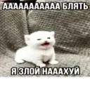 Կպչուն պիտակ