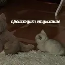 Կպչուն պիտակ