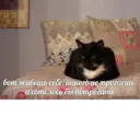 Կպչուն պիտակ