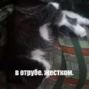 ஸ்டிக்கர்