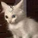 స్టికర్