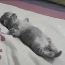 స్టికర్