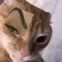 స్టికర్