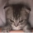 స్టికర్