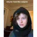 ஸ்டிக்கர்