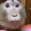 Կպչուն պիտակ