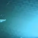 Կպչուն պիտակ