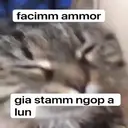 Կպչուն պիտակ