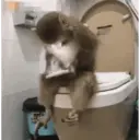 Կպչուն պիտակ