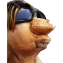 ស្ទីកเกอร์