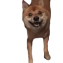 Կպչուն պիտակ