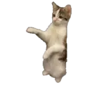 Կպչուն պիտակ