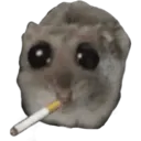 ស្ទីកเกอร์