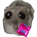 ស្ទីកเกอร์