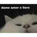 স্টিকার