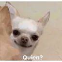 স্টিকার