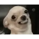 স্টিকার