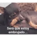 স্টিকার