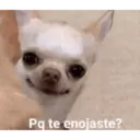 স্টিকার