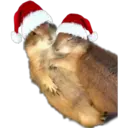 স্টিকার