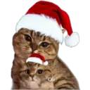 স্টিকার