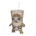 ஸ்டிக்கர்