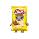 ஸ்டிக்கர்